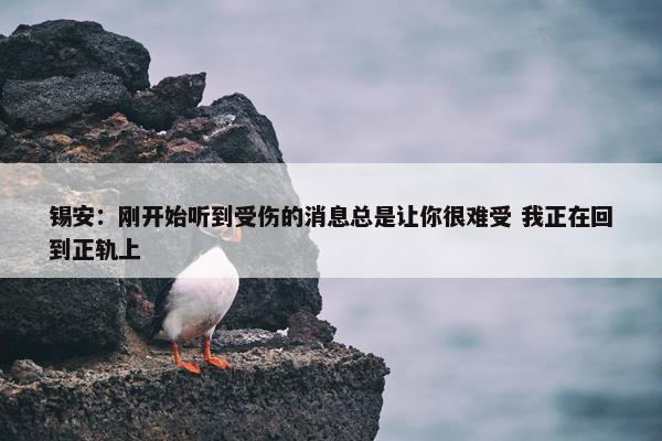 锡安：刚开始听到受伤的消息总是让你很难受 我正在回到正轨上