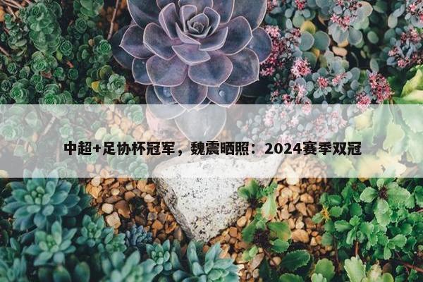 中超+足协杯冠军，魏震晒照：2024赛季双冠