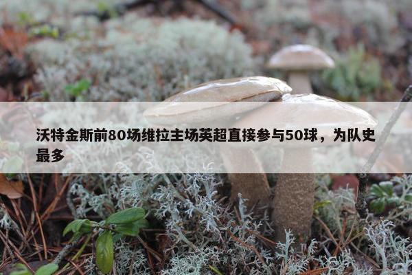 沃特金斯前80场维拉主场英超直接参与50球，为队史最多