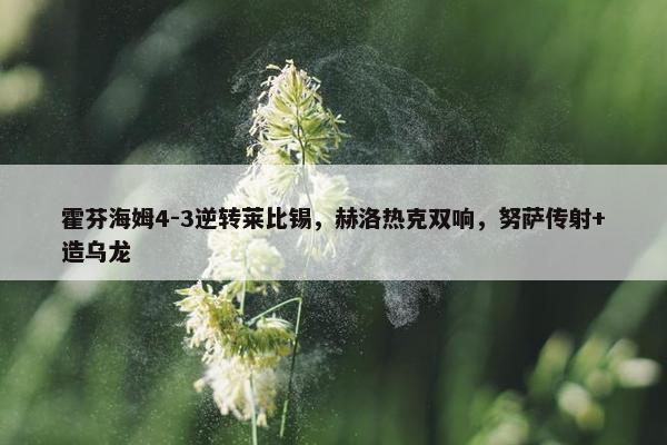 霍芬海姆4-3逆转莱比锡，赫洛热克双响，努萨传射+造乌龙