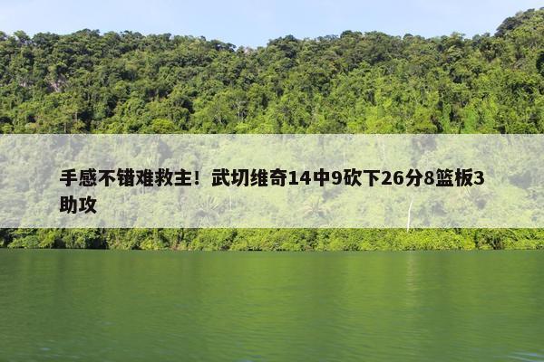 手感不错难救主！武切维奇14中9砍下26分8篮板3助攻