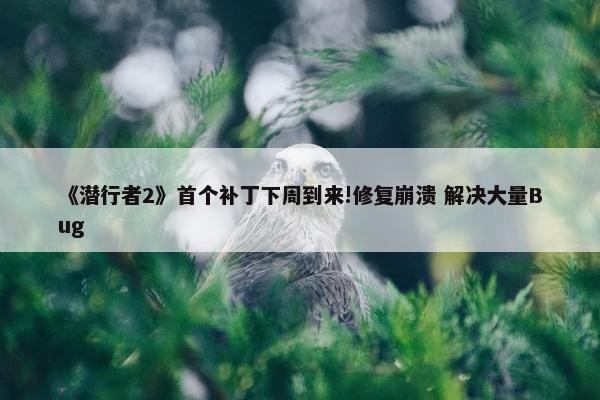 《潜行者2》首个补丁下周到来!修复崩溃 解决大量Bug