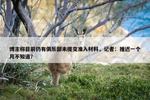 博主称目前仍有俱乐部未提交准入材料，记者：推迟一个月不知道？