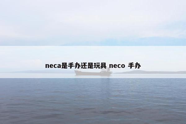 neca是手办还是玩具 neco 手办