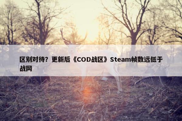 区别对待？更新后《COD战区》Steam帧数远低于战网