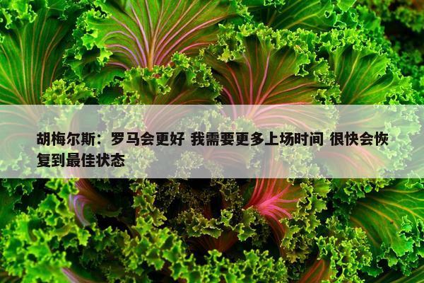 胡梅尔斯：罗马会更好 我需要更多上场时间 很快会恢复到最佳状态