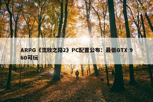 ARPG《流放之路2》PC配置公布：最低GTX 960可玩