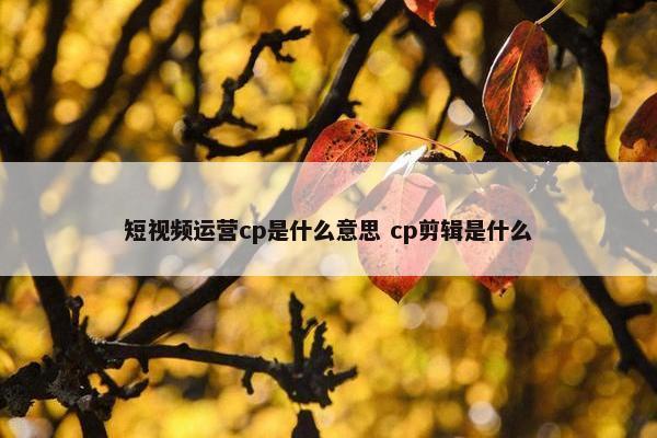 短视频运营cp是什么意思 cp剪辑是什么