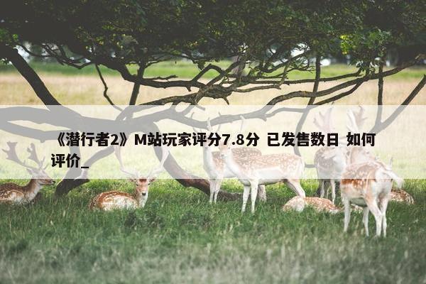 《潜行者2》M站玩家评分7.8分 已发售数日 如何评价_