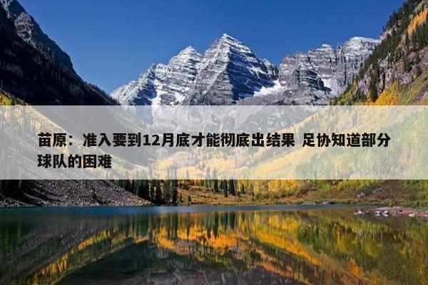 苗原：准入要到12月底才能彻底出结果 足协知道部分球队的困难