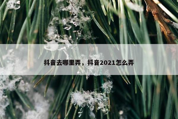 抖音去哪里弄，抖音2021怎么弄