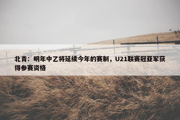 北青：明年中乙将延续今年的赛制，U21联赛冠亚军获得参赛资格