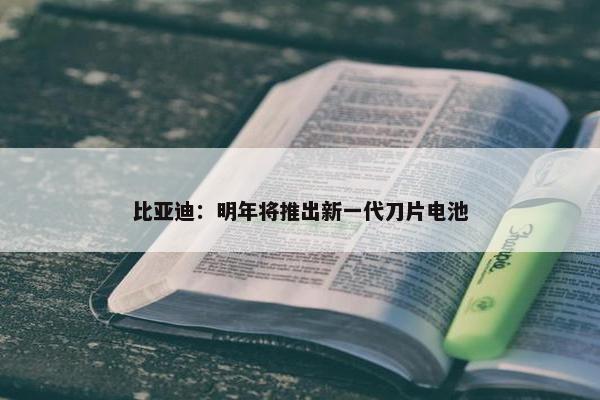 比亚迪：明年将推出新一代刀片电池