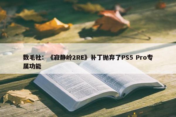 数毛社：《寂静岭2RE》补丁抛弃了PS5 Pro专属功能