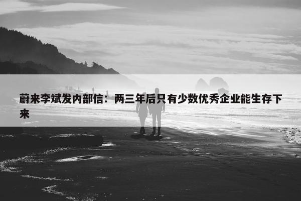 蔚来李斌发内部信：两三年后只有少数优秀企业能生存下来