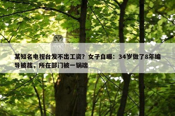 某知名电视台发不出工资？女子自曝：34岁做了8年编导被裁，所在部门被一锅端