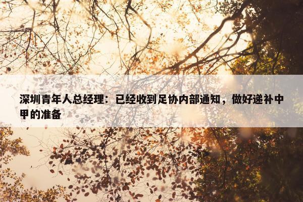 深圳青年人总经理：已经收到足协内部通知，做好递补中甲的准备