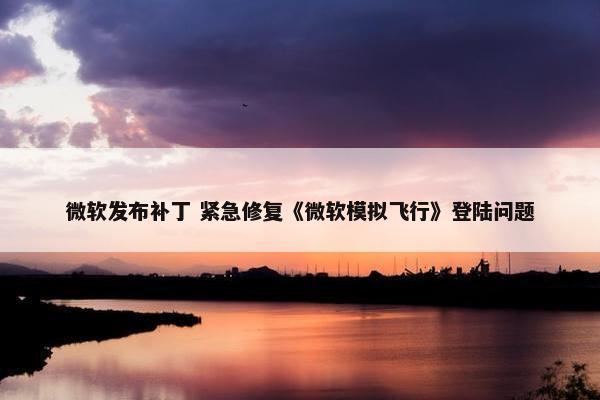 微软发布补丁 紧急修复《微软模拟飞行》登陆问题