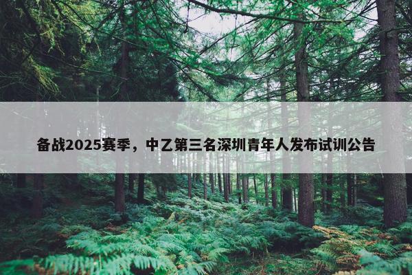 备战2025赛季，中乙第三名深圳青年人发布试训公告