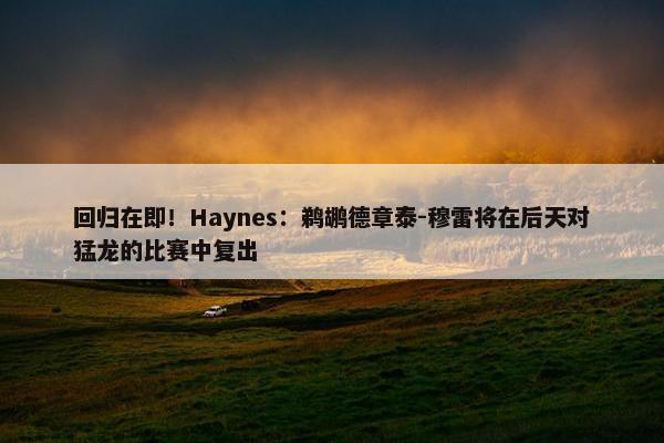 回归在即！Haynes：鹈鹕德章泰-穆雷将在后天对猛龙的比赛中复出