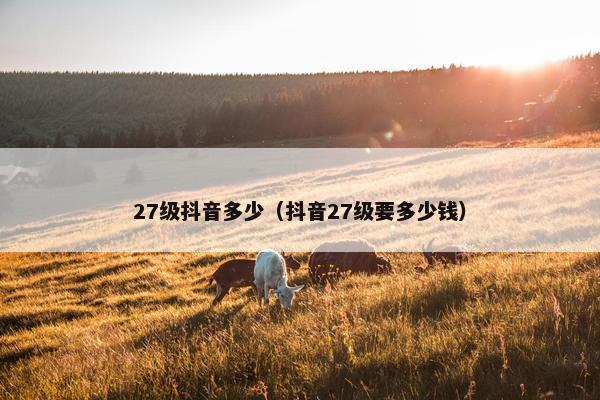 27级抖音多少（抖音27级要多少钱）