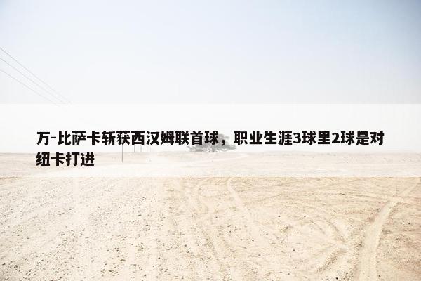 万-比萨卡斩获西汉姆联首球，职业生涯3球里2球是对纽卡打进