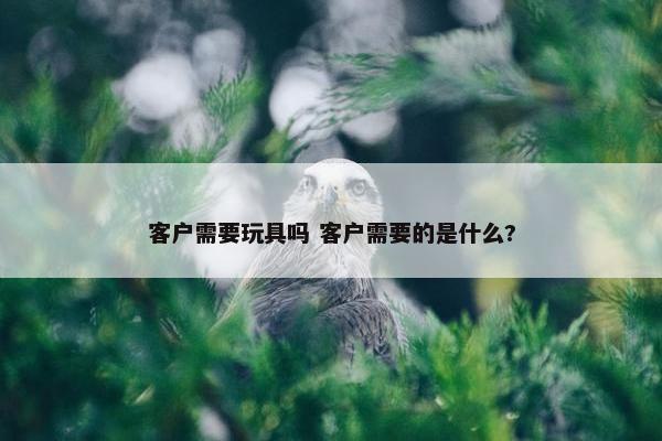 客户需要玩具吗 客户需要的是什么?