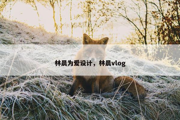 林晨为爱设计，林晨vlog