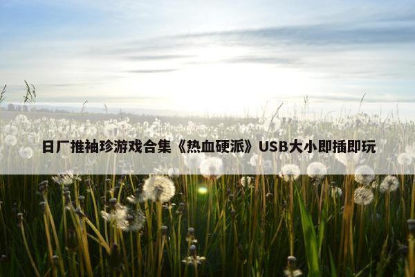 日厂推袖珍游戏合集《热血硬派》USB大小即插即玩