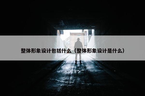 整体形象设计包括什么（整体形象设计是什么）