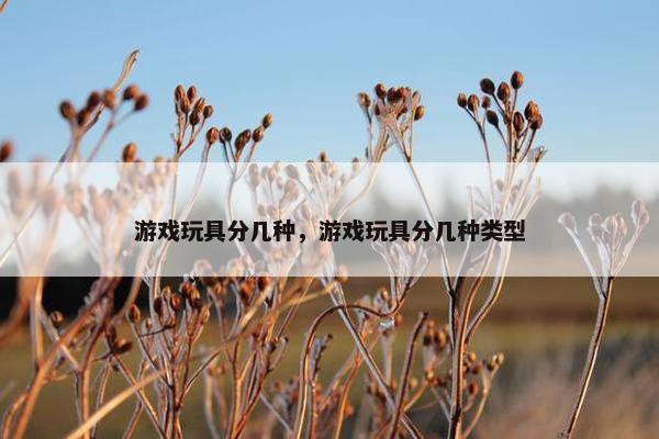 游戏玩具分几种，游戏玩具分几种类型