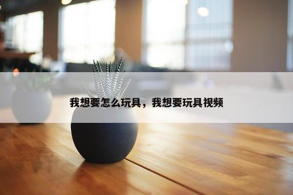 我想要怎么玩具，我想要玩具视频