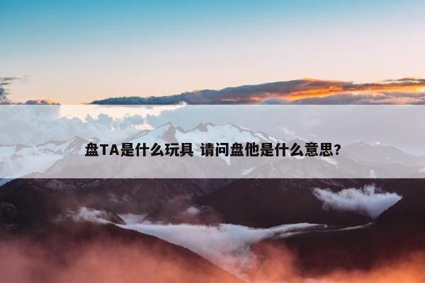 盘TA是什么玩具 请问盘他是什么意思?