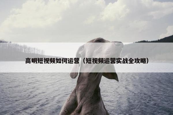 高明短视频如何运营（短视频运营实战全攻略）