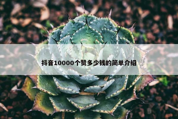 抖音10000个赞多少钱的简单介绍