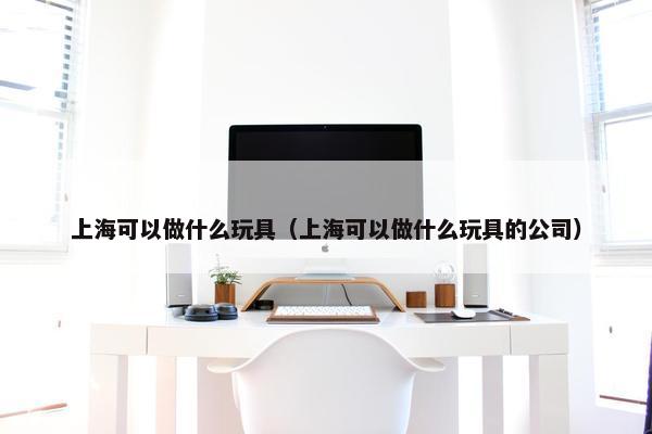 上海可以做什么玩具（上海可以做什么玩具的公司）