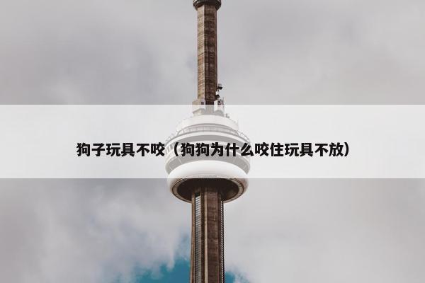 狗子玩具不咬（狗狗为什么咬住玩具不放）