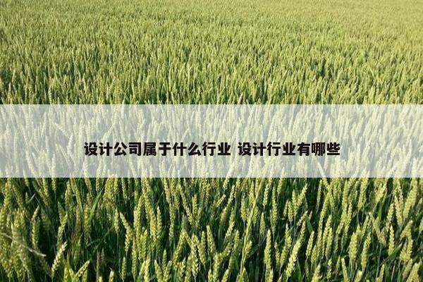 设计公司属于什么行业 设计行业有哪些