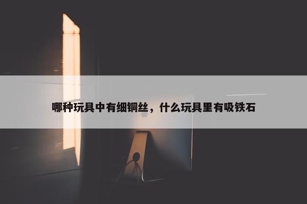 哪种玩具中有细铜丝，什么玩具里有吸铁石